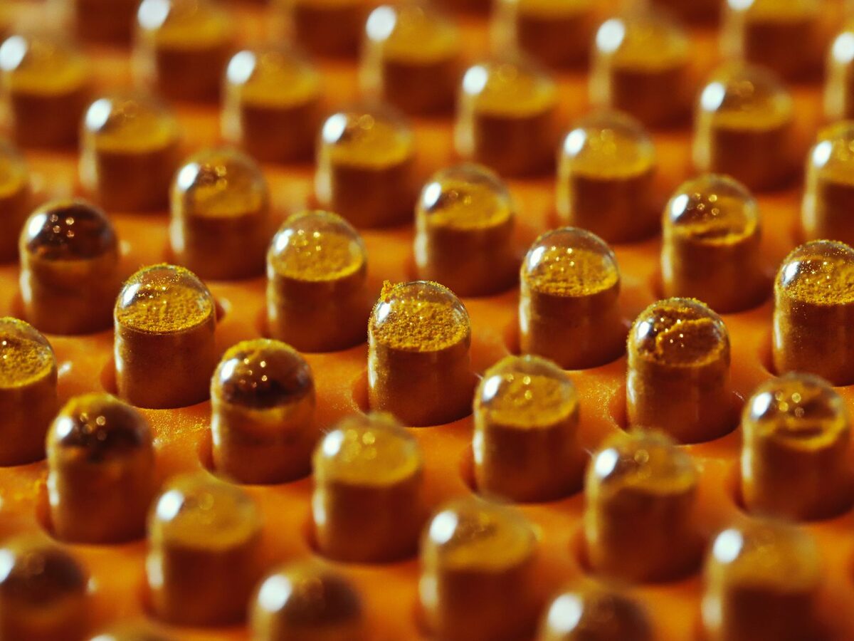 CaminACT Curcumin