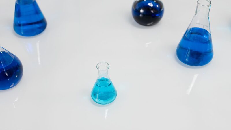 Scientific White Paper: The Pharmacology of Key Bioactive Ingredients in Metabolic Health